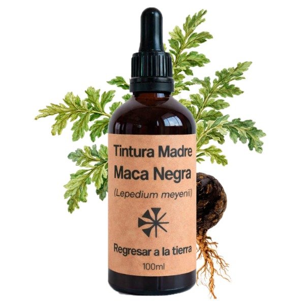 Producto - Tintura Madre de Maca Peruana Negra 100ml