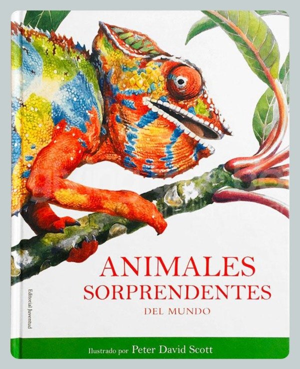 Producto - Scott: Animales Sorprendentes del Mundo