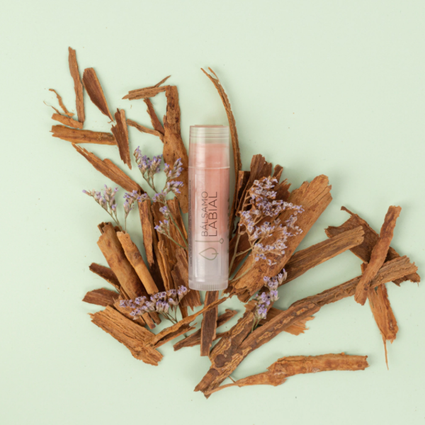 Producto - Bálsamo labial Canela - Landa