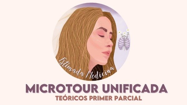 Producto - RESUMEN IMPRESO TEÓRICOS 1P MICRO UNIFICADA (A COLOR)