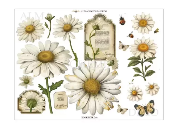 Producto - Lámina termotransferible PLANCHA FLORECER044