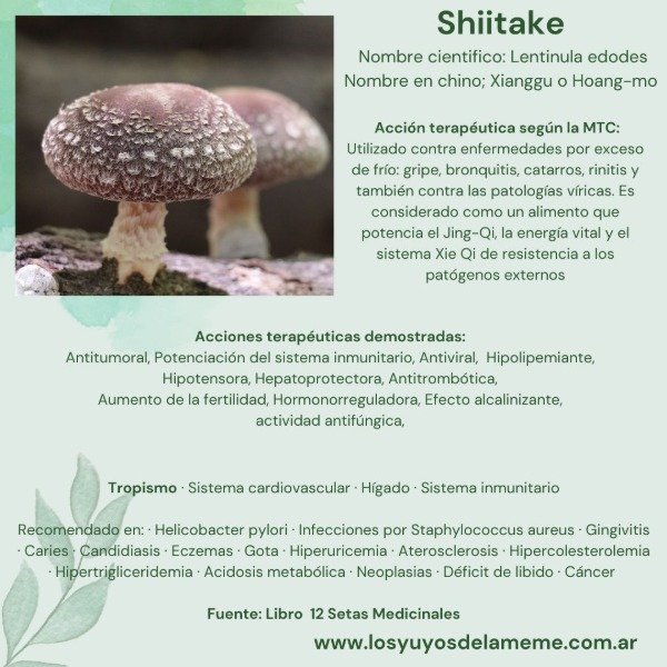 Miniatura de producto - 10