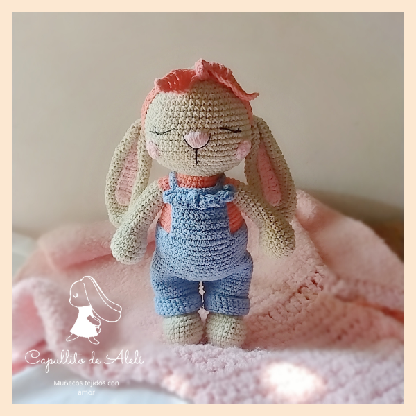 Producto - Guía de Tejido: Coneja Soña