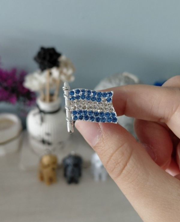 Producto - Pin metalizado en LIQUIDACIÓN!! ÚNICA UNIDAD EN STOCK #141223