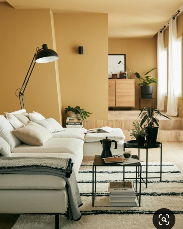 Producto - Tonalidades Maíz