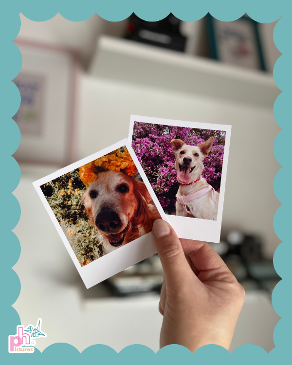 Producto - polaroid - 9 x 10 cm - 0