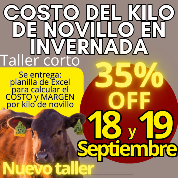 Producto - Taller corto: cálculo del costo del kilo de novillo - 0
