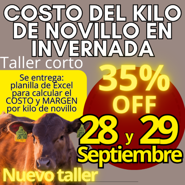 Producto - Taller corto: cálculo del costo del kilo de novillo - 0