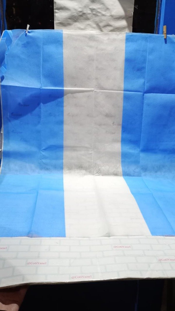 Producto - Bandera argentina Friselina 0,67x0,90 - 1