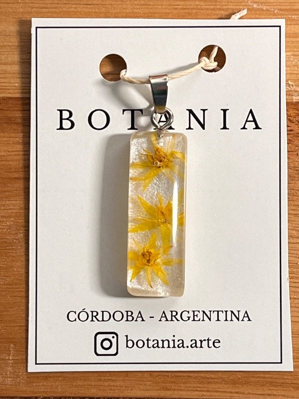 Producto - Variedad 32 - 0