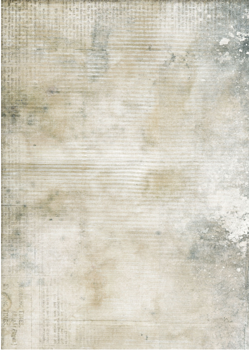 Producto - FOREST CHRISTMAS 3B