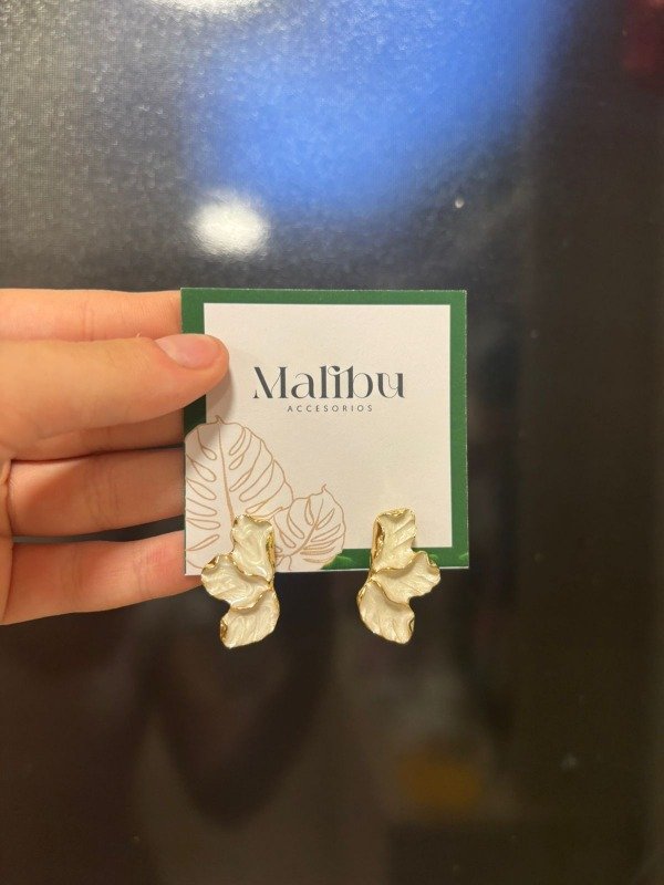 Producto - Aros Rocío Clip