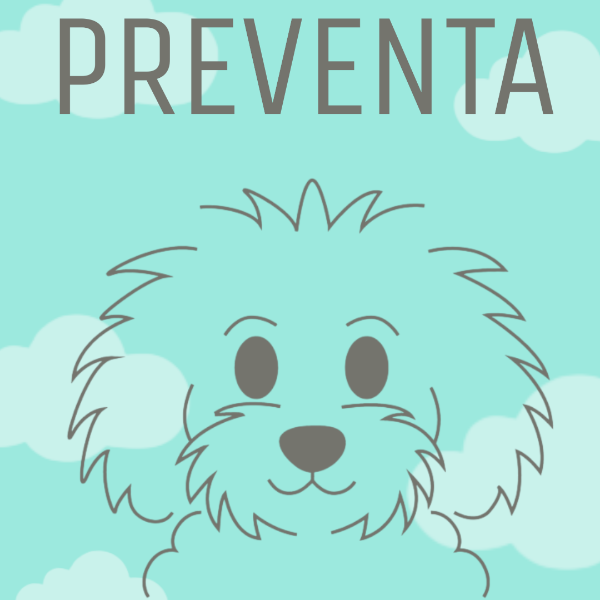 Producto - Chapita en PREVENTA flecos
