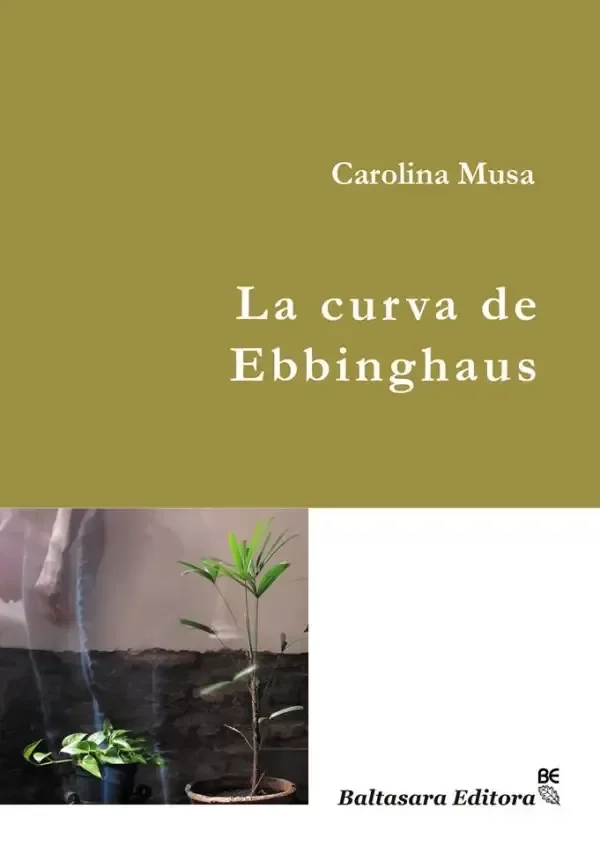 Producto - La curva de Ebbinghaus - Carolina Musa