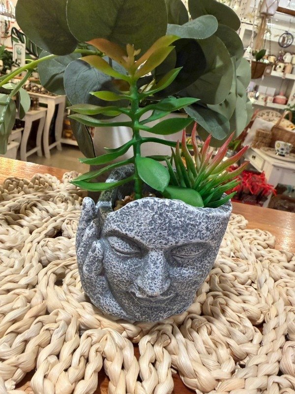 Producto - Buda cara de piedra con planta- B1 (Efectivo:15.920)