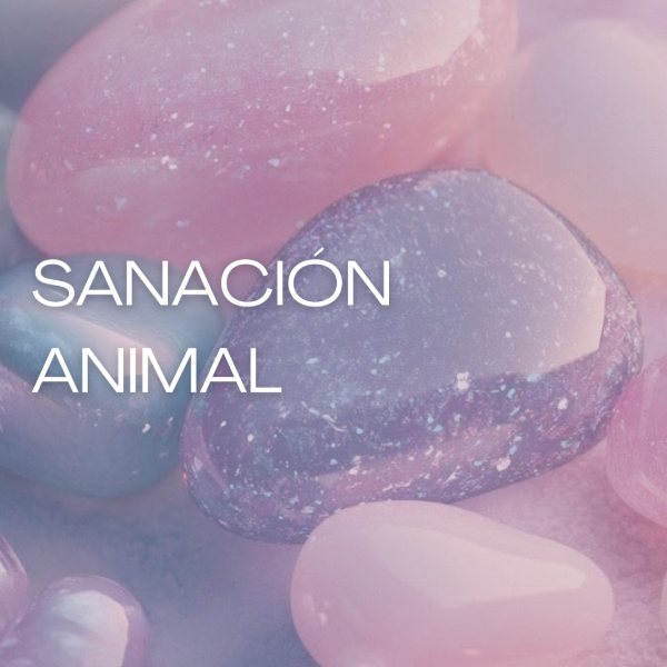 Producto - Sanación animal