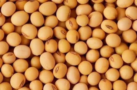 Producto - Poroto de Soja 1Kg. NUEVO