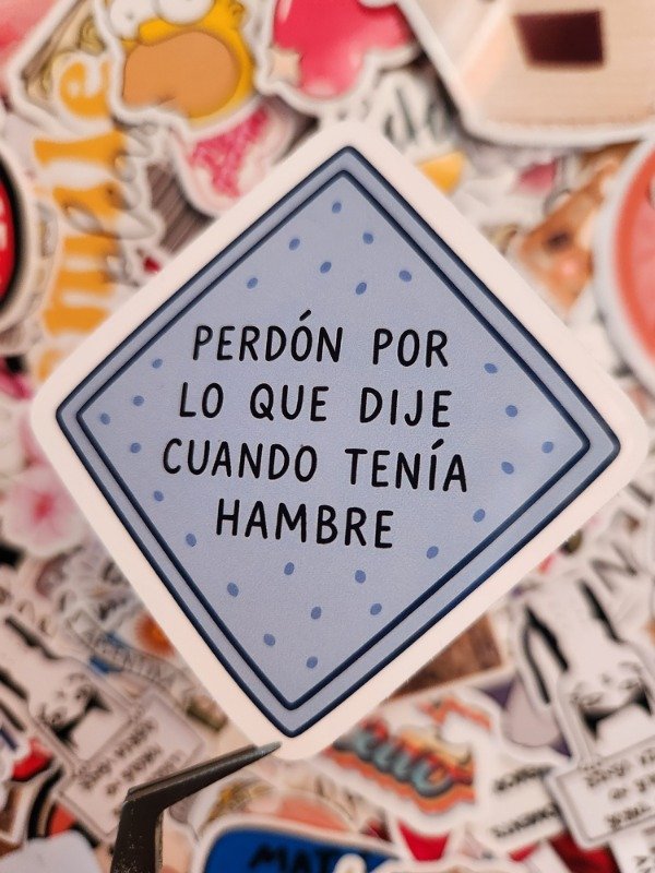 Producto - 308 - "Perdón por lo que dije cuanto tenía hambre"