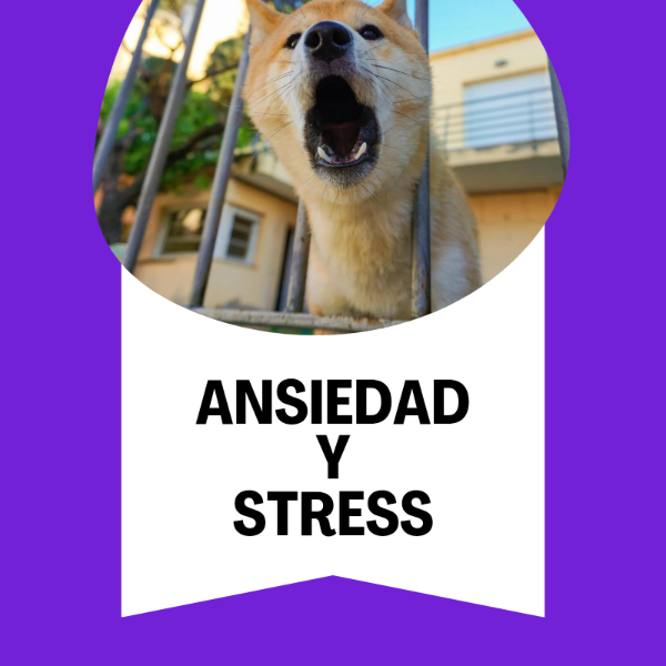Producto - Ansiedad y Stress