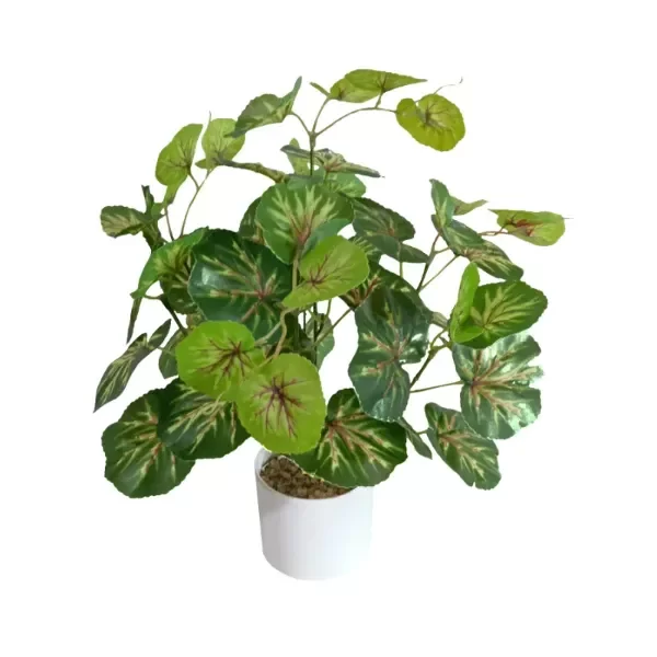 Producto - FA160 45CM