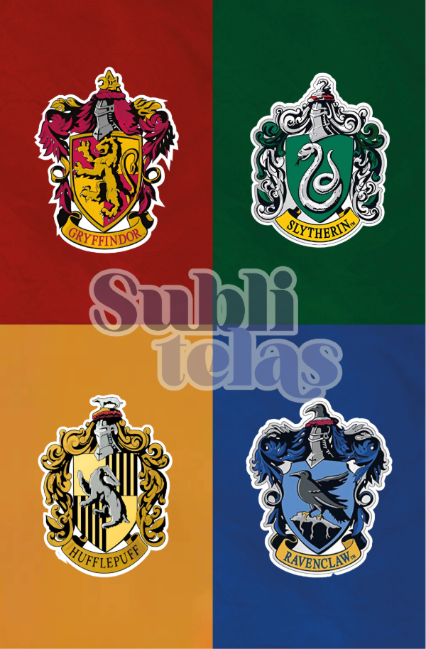 Producto - HARRY POTTER