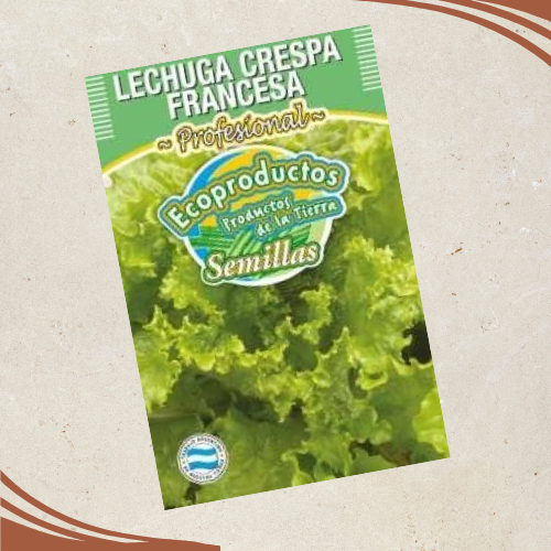 Producto - Semillas de Lechuga Crespa