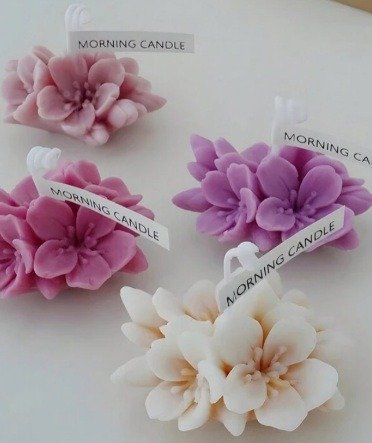 Producto - MOLDE FLOR DE CIRUELO