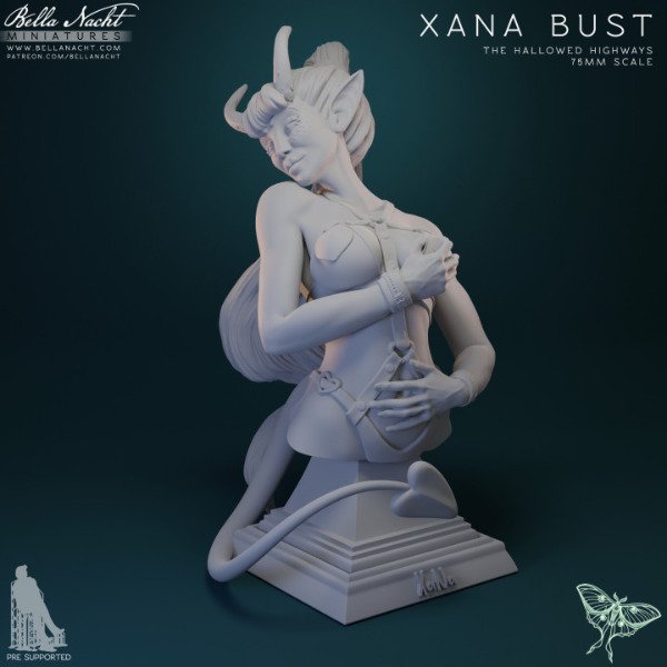 Producto - Xana Busto