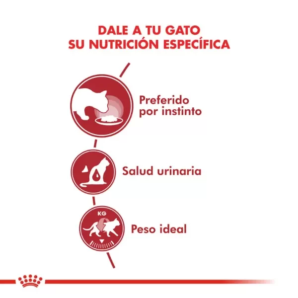 Producto - Pouch Royal Canin Instinctive - Royal Canin 85 Gr - 3