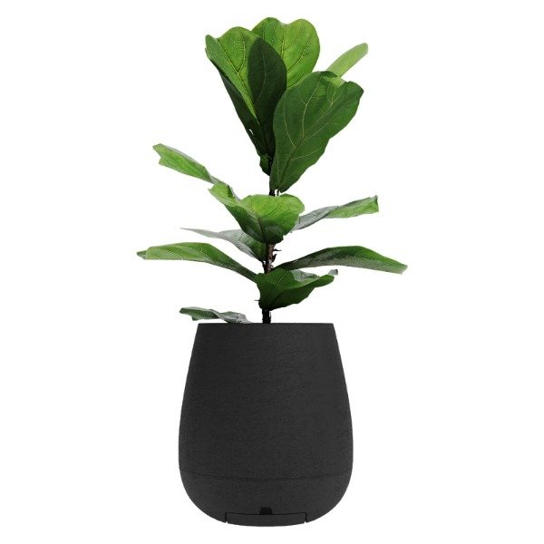 Producto - Maceta plastica Sara 40 cm 31lts con plato Negra
