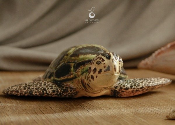 Producto - Tortuga Marina - Escultura - 5