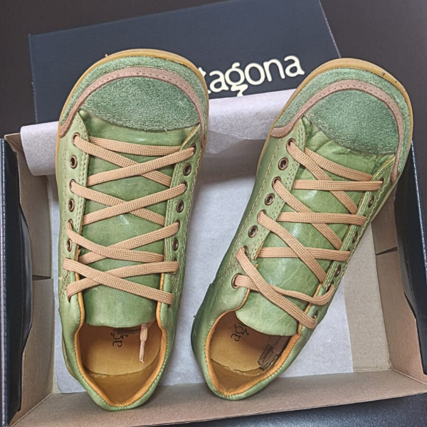 Producto - Álamo Verde Amazonas