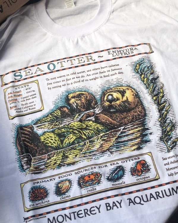 Producto - REMERA OTTER