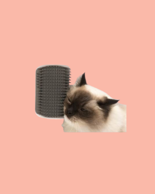 Producto - Cat It Self Groom Rascador Cuello