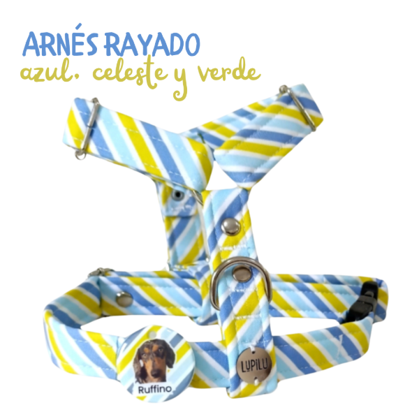 Producto - Arnés RAYADO VERDE AZUL CELESTE
