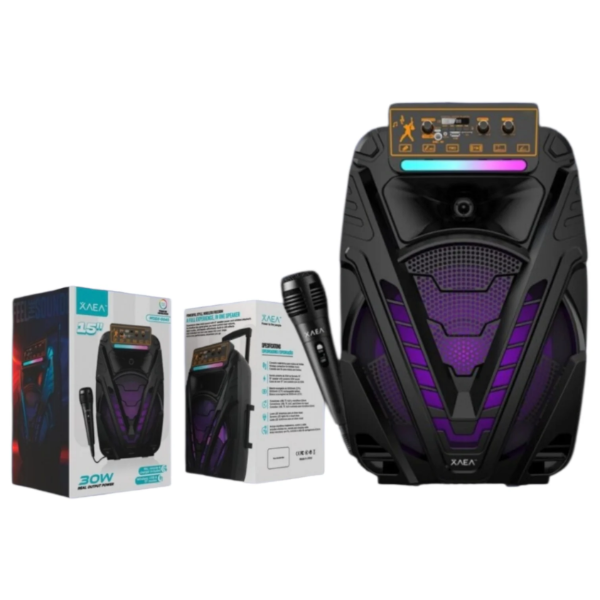 Producto - PARLANTE XAEA MODX-0045 15"