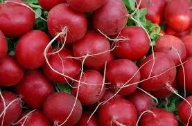Producto - Semillas agroecologicas de rabanito
