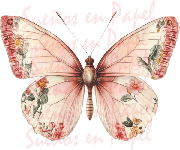 Producto - Lamina DTF DB 30