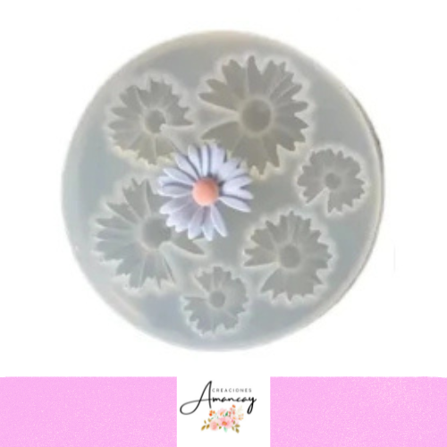 Producto - FLORES MARGARITAS PLANAS