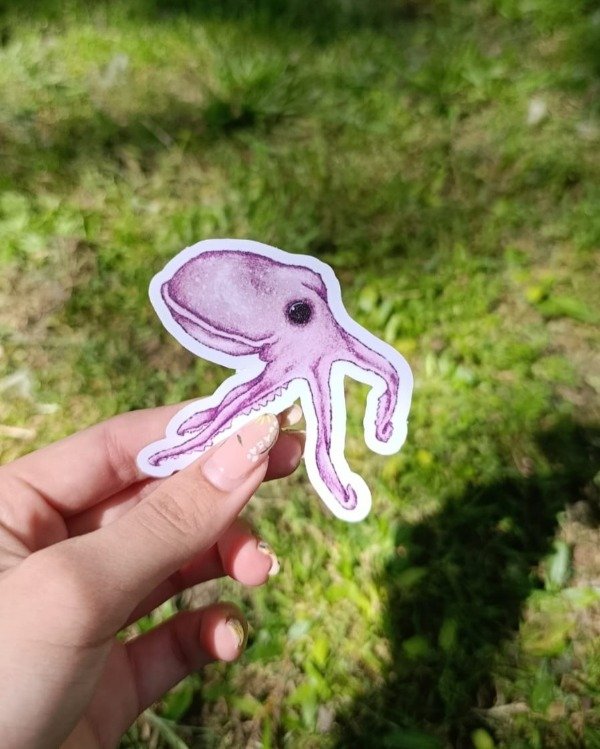 Producto - Pulpo Violeta