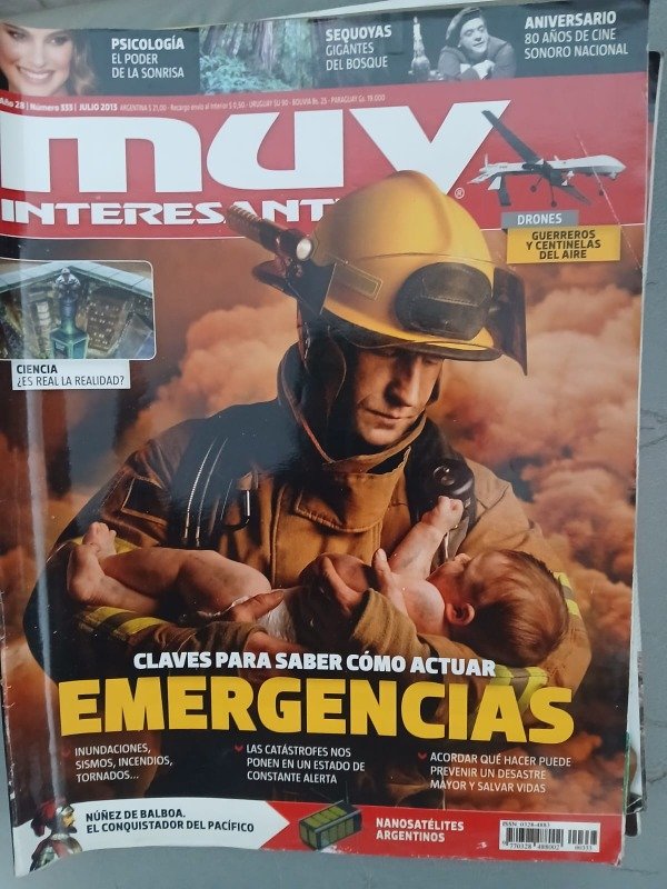 Producto - REVISTA MUY INTERESANTE N 333