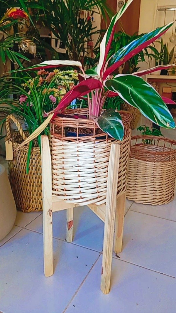Producto - Porta maceta pino