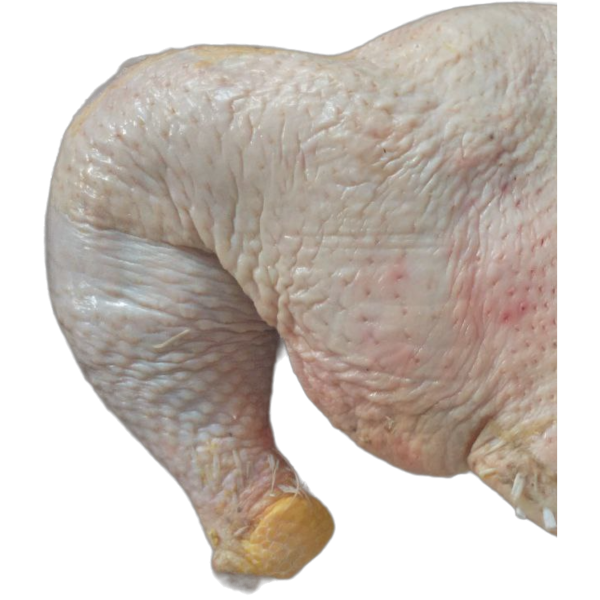 Producto - Pollo: Pata muslo (congelada) - unidades por peso [Granja El Guajiro] - 0