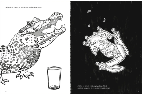 Producto - Anfibios y reptiles- bitácora para colorear