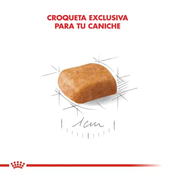 Producto - Alimento Royal Canin Caniche Junior - 3