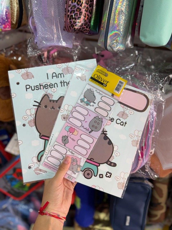 Producto - Combo pusheen - oliver