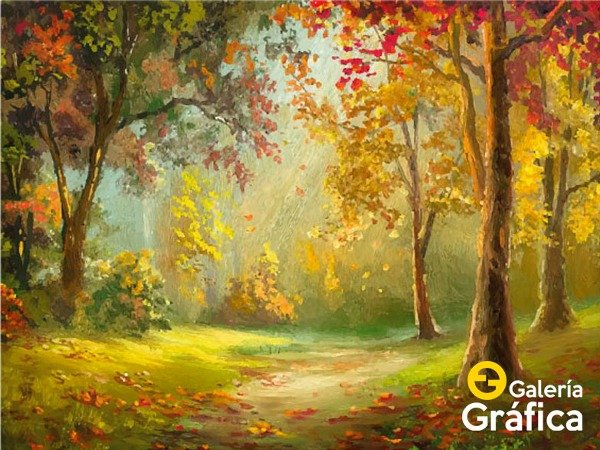 Producto - Bosque FS FS09