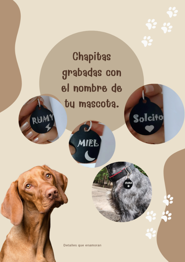 Producto - Chapita con grabado incluido (déjanos el nombre de tu mascota)