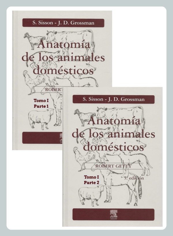Producto - Sisson: Anatomía de los Animales Domésticos, 5ta - tomo 1 (ENC)