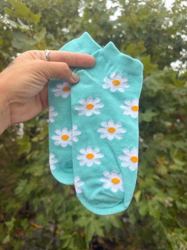 Producto - Margaritas celeste